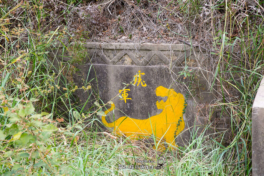 杂草堆中发现虎军弹药库，也是当年虎军部队英勇世纪的见证史碑