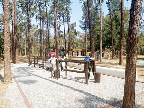 金管處在中山林園區打造一處兒童遊憩設施，深獲親子族群喜愛：小朋友開心玩耍複合式鞦韆。（許加泰攝）