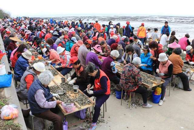 石蚵文化季