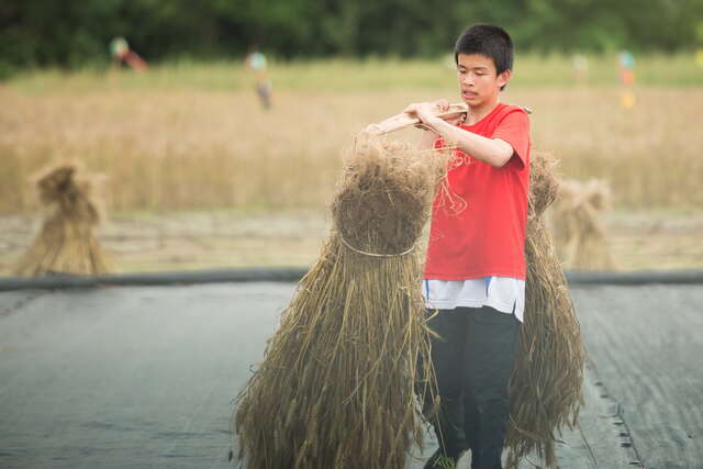 石蚵小麦文化季-体验挑稻草