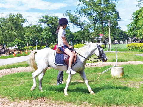 「牧馬風華」今年共計2場次。（畜試所提供）