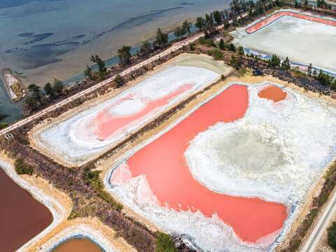 粉红湖