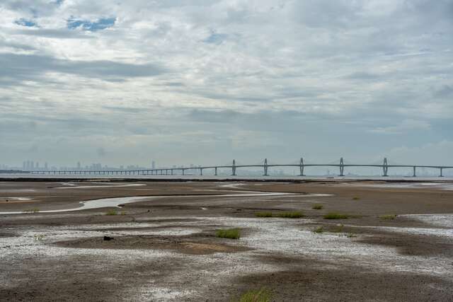 _WHY5460_調整大小