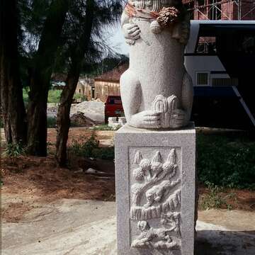 榜林风狮爷(132公分；石雕、立姿雌狮)