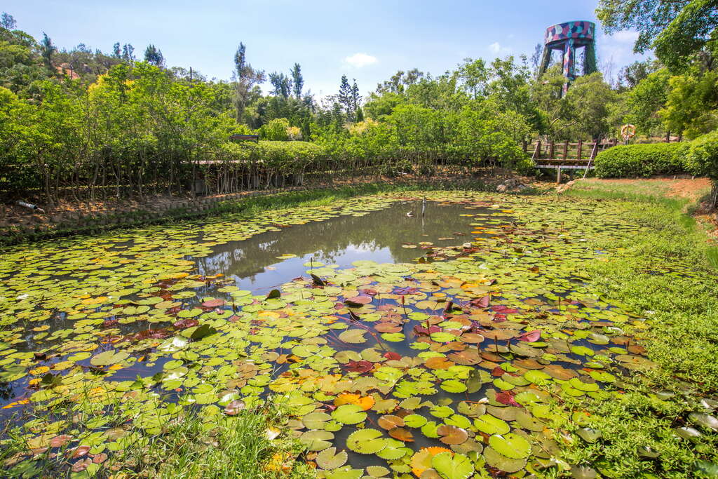 金門植物園 金門観光旅行サイト