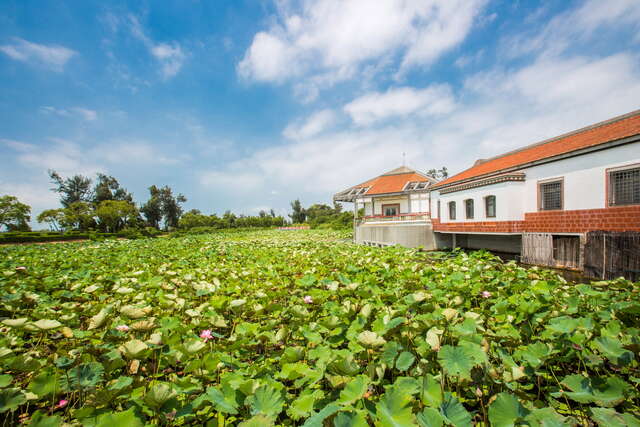 雙鯉湖/雙鯉溼地中心
