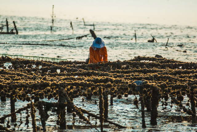 貓公石濱海休憩區
