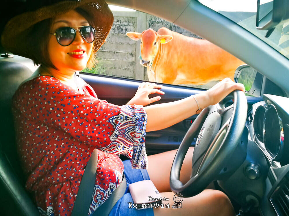 金門旅行路上的小驚喜：金門林務所，榕園，太湖，自然風光滿喫（還不用人擠人塞車塞人）的好地方。