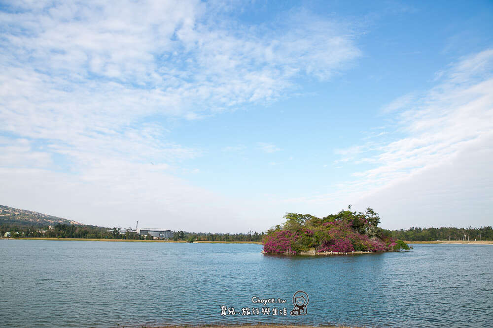各種水鳥侯鳥與留鳥在金門與人和平共處，吸引熱愛拍攝鳥類生態的攝影高手前來金門