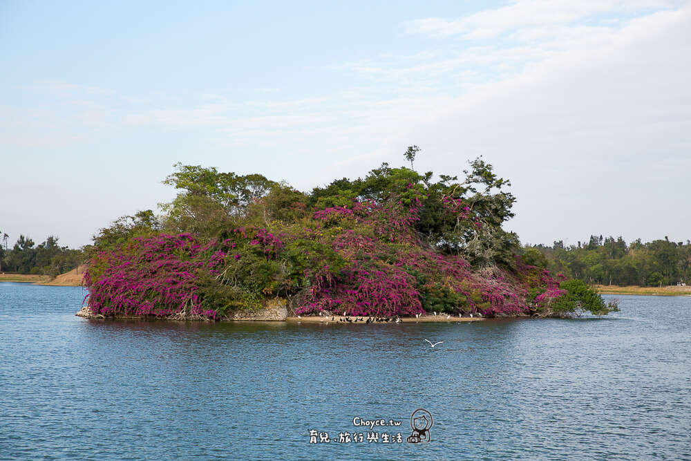 來金門不用花心思，處處俯拾皆是美景