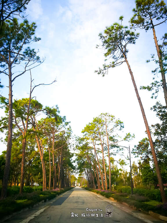 金門縣林務所-道路