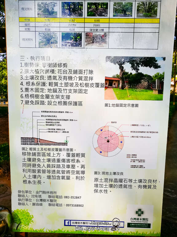 救救老榕树可是浩大工程，但金门林务所不惜耗费钜资投入精力