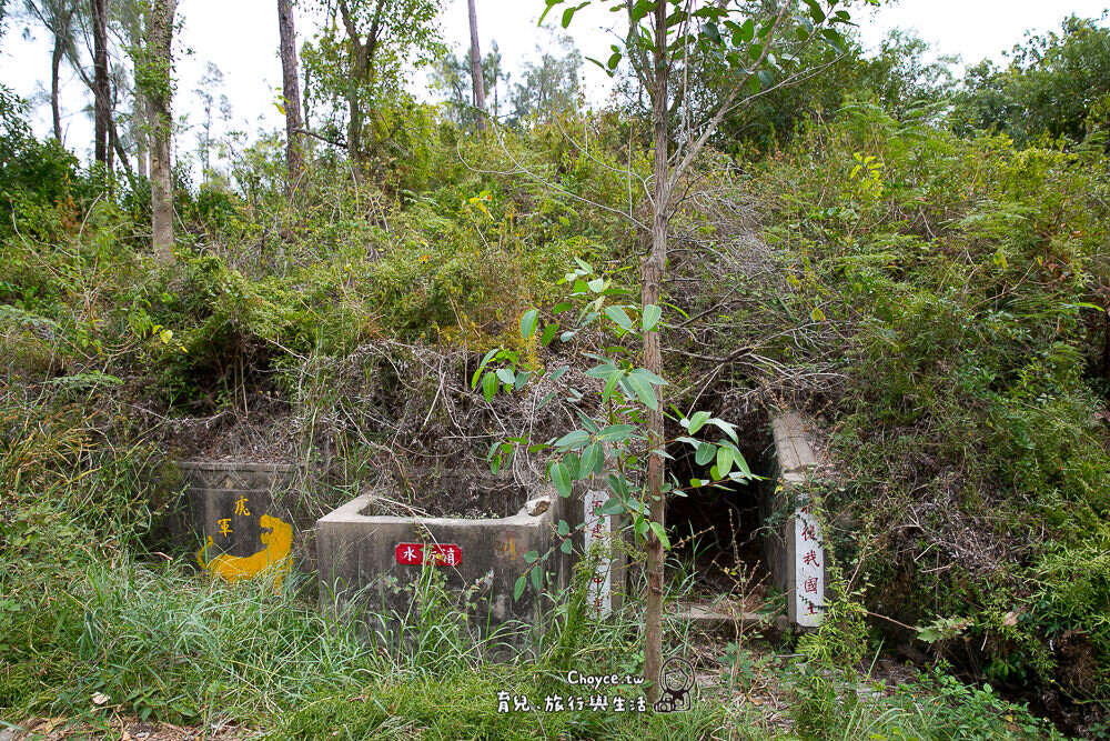 比起軍事碉堡，金門植物園內的原生植物顯得雜亂與未經規劃