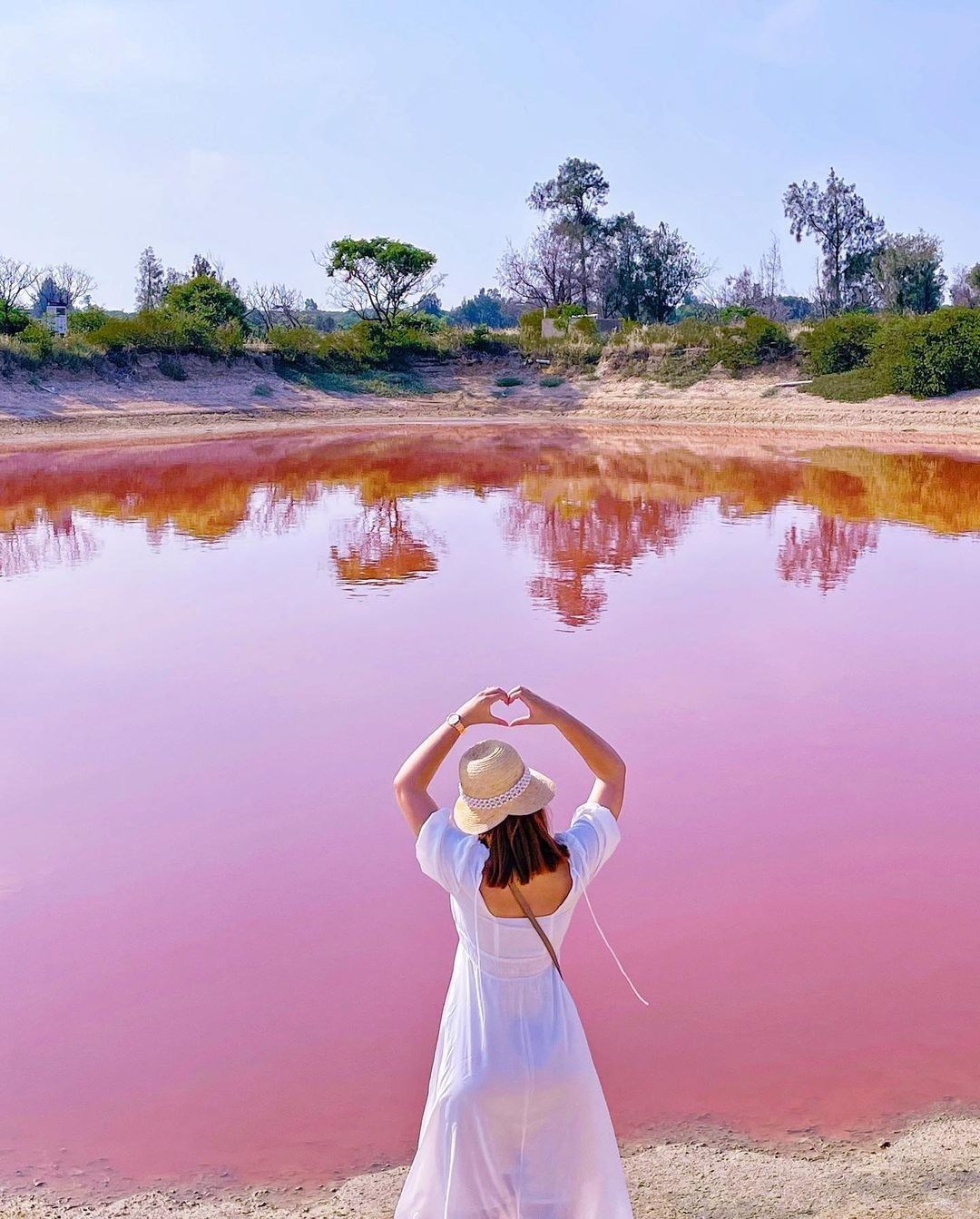 金門粉紅湖
於慈湖旁的魚塭池內的營養源高，讓紅色的「光合菌」大量繁衍，導致慈湖的池塘改變了色彩，其中粉紅湖最為吸睛～
-
感謝  ...