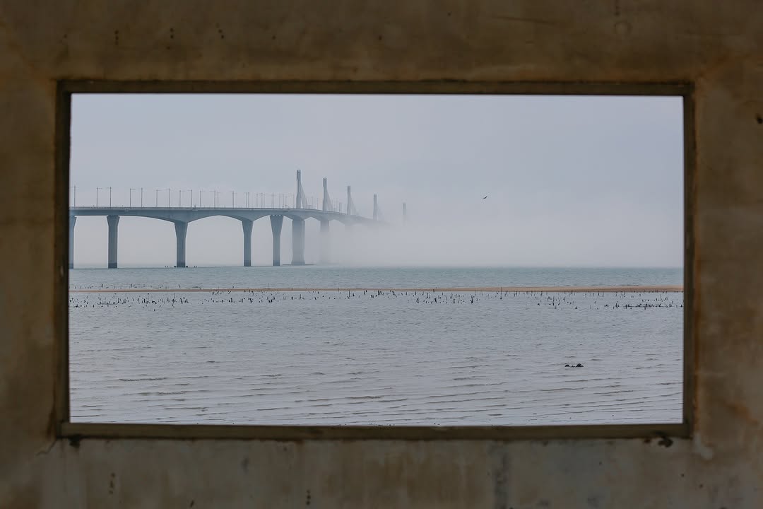 金門大橋
在霧中若隱若現的大橋身影
此為春季限定的特色景觀~
-
你的照片上標註 #kinmentravel 或 @kinment...