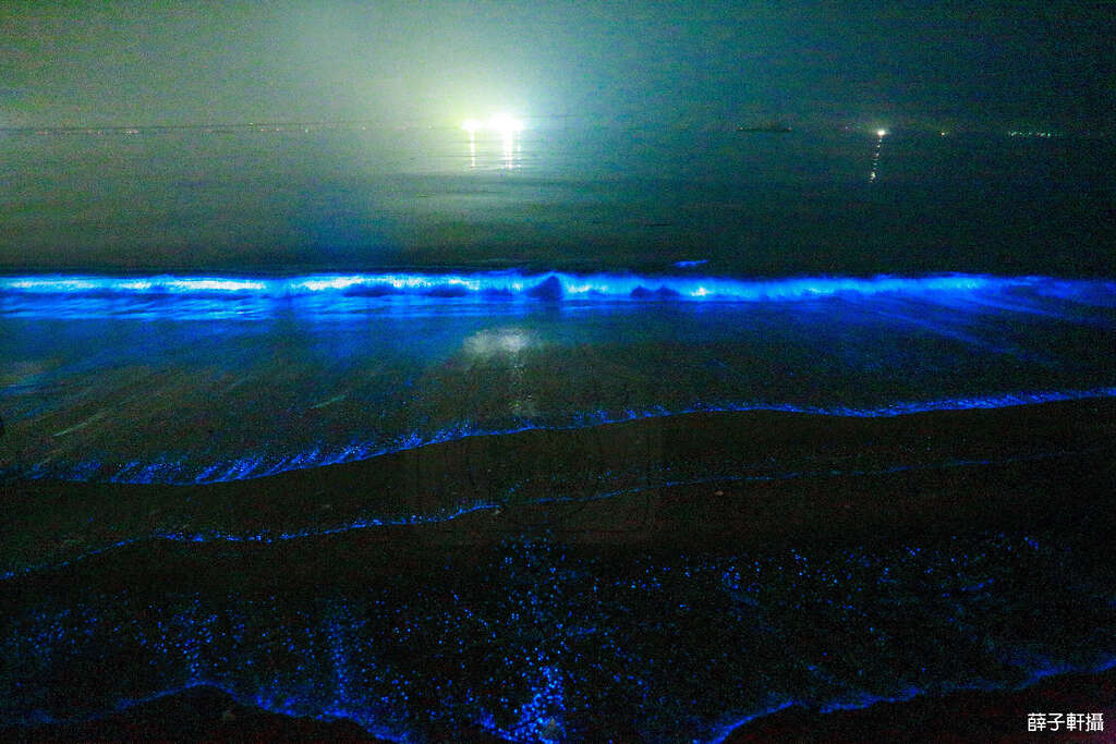 藍眼淚_薛子軒-02