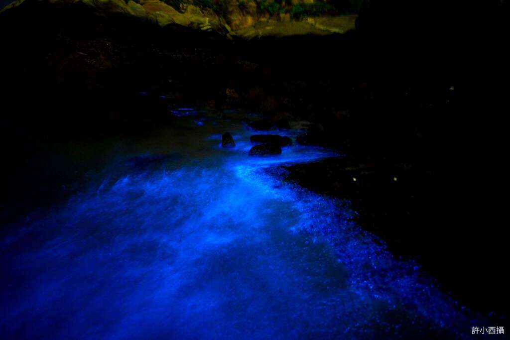 LINE_ALBUM_金門藍眼淚(by 許小西)_220311_6