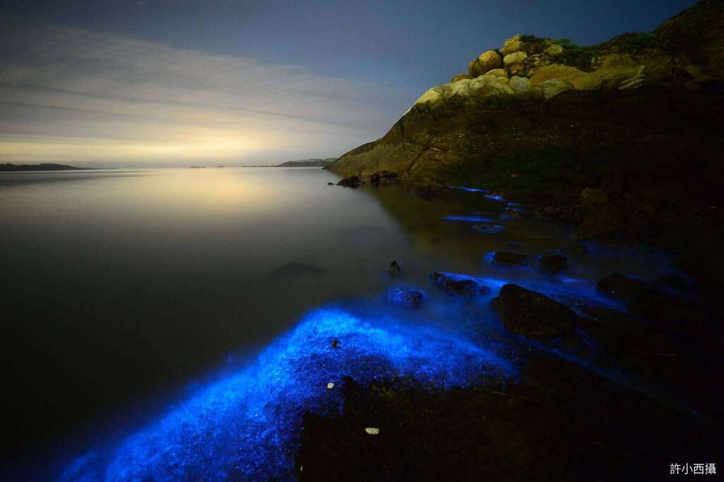 海岸邊的藍眼淚#001
