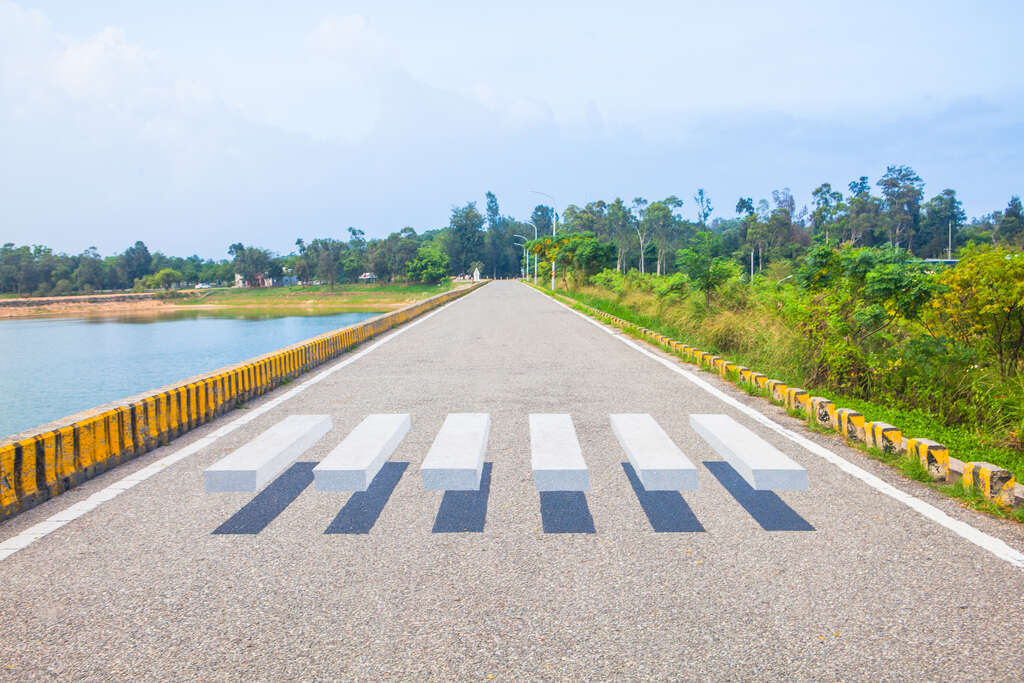 太湖漂浮斑馬線