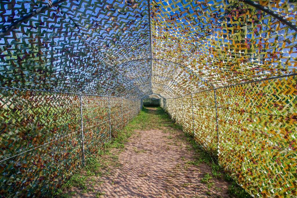 青年農莊賞鳥道路