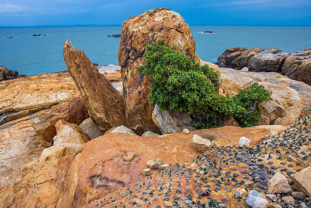 寒舍花優美地名