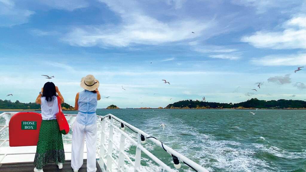 初日號巧遇海鷗