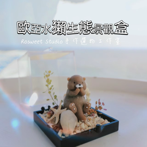 迷你水獺生態盒ＤＩＹ