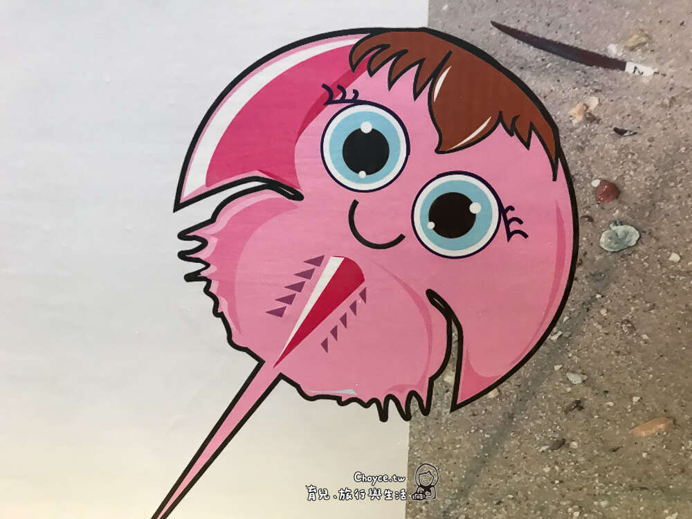 粉紅色的鱟。horseshoe crab