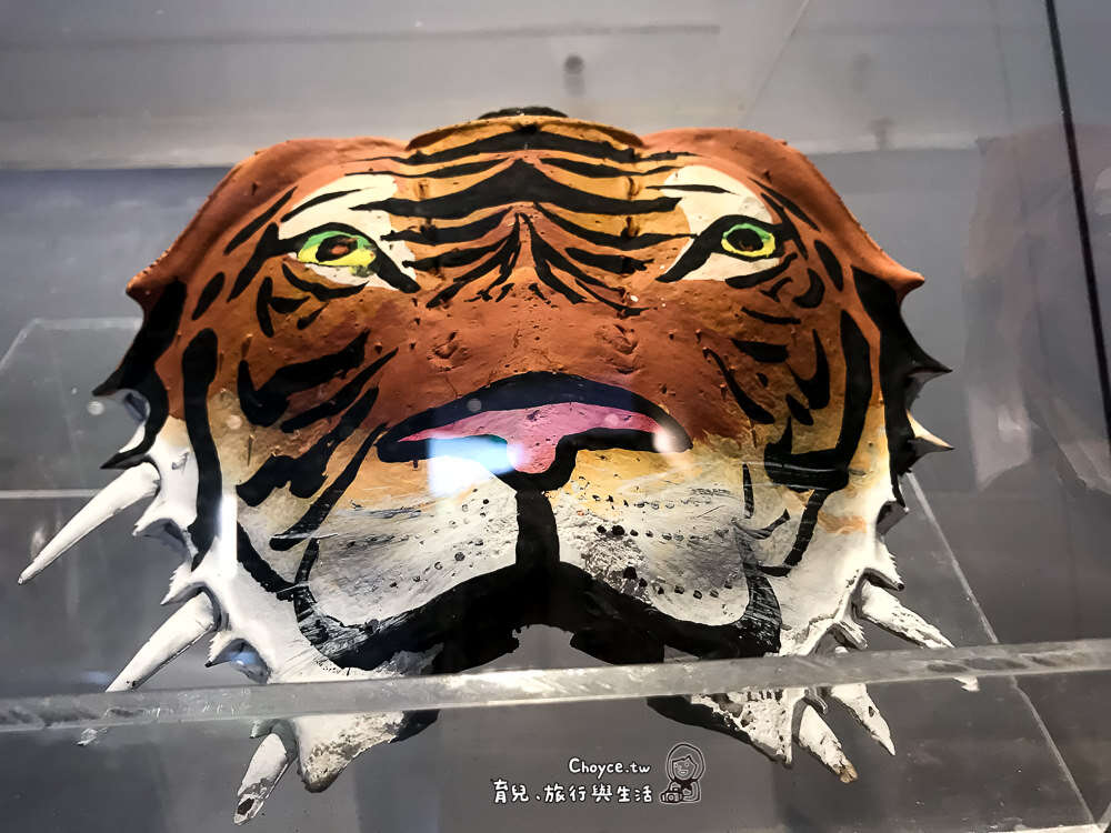 把殼翻轉過來,可看到鱟的口腔與腳