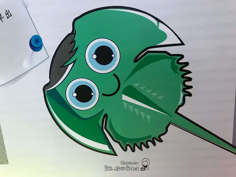 可愛的鱟。horseshoe crab